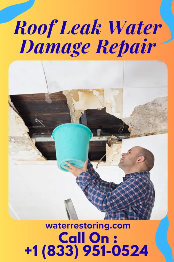 Roof Leak Water Damage Repair in Terre Haute, IN
